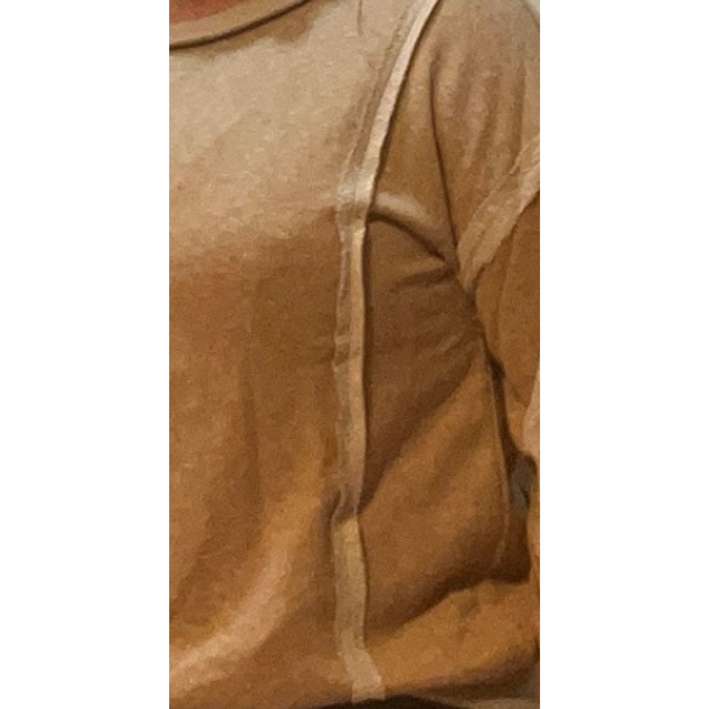 Coastal People Relaxed Fit Exposed Seam Detail Crewneck Latte